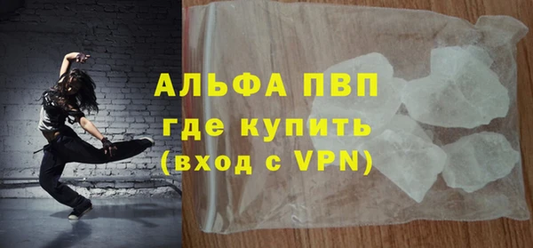 индика Арсеньев