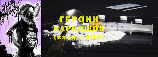 индика Арсеньев