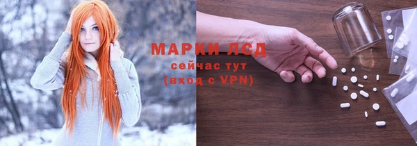 стаф Аркадак