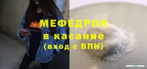 индика Арсеньев