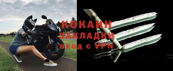 стаф Аркадак