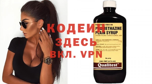 индика Арсеньев