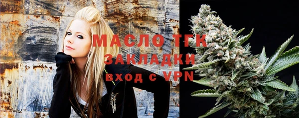 индика Арсеньев