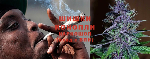 стаф Аркадак