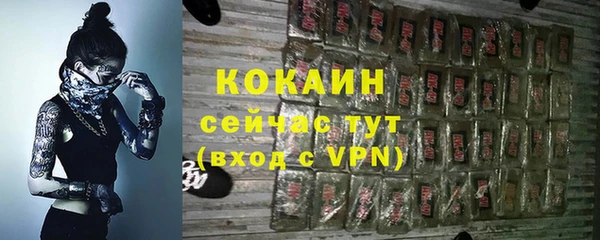 индика Арсеньев