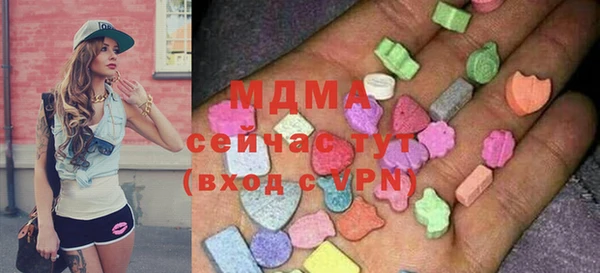 индика Арсеньев
