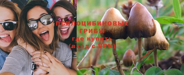 индика Арсеньев