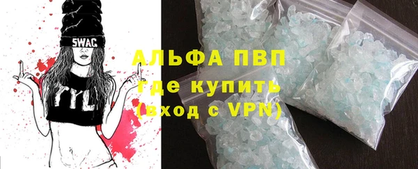 стаф Аркадак