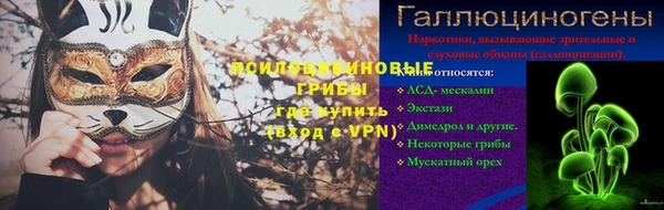 стаф Аркадак