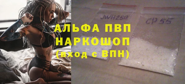 стаф Аркадак