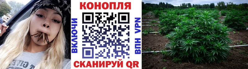Марихуана White Widow  Таруса 